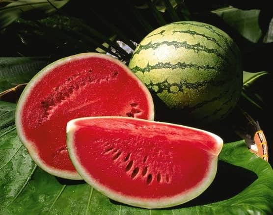 watermelon-tarbooj